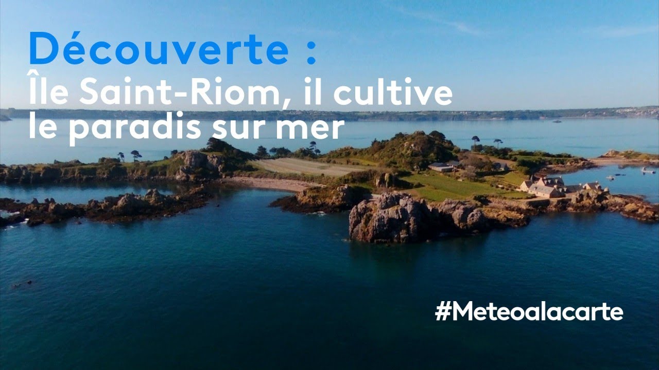 Ile De Saint Riom Chambre D'hote