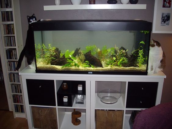 meuble aquarium ikea 100l