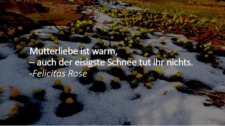 herbert grönemeyer trauer text