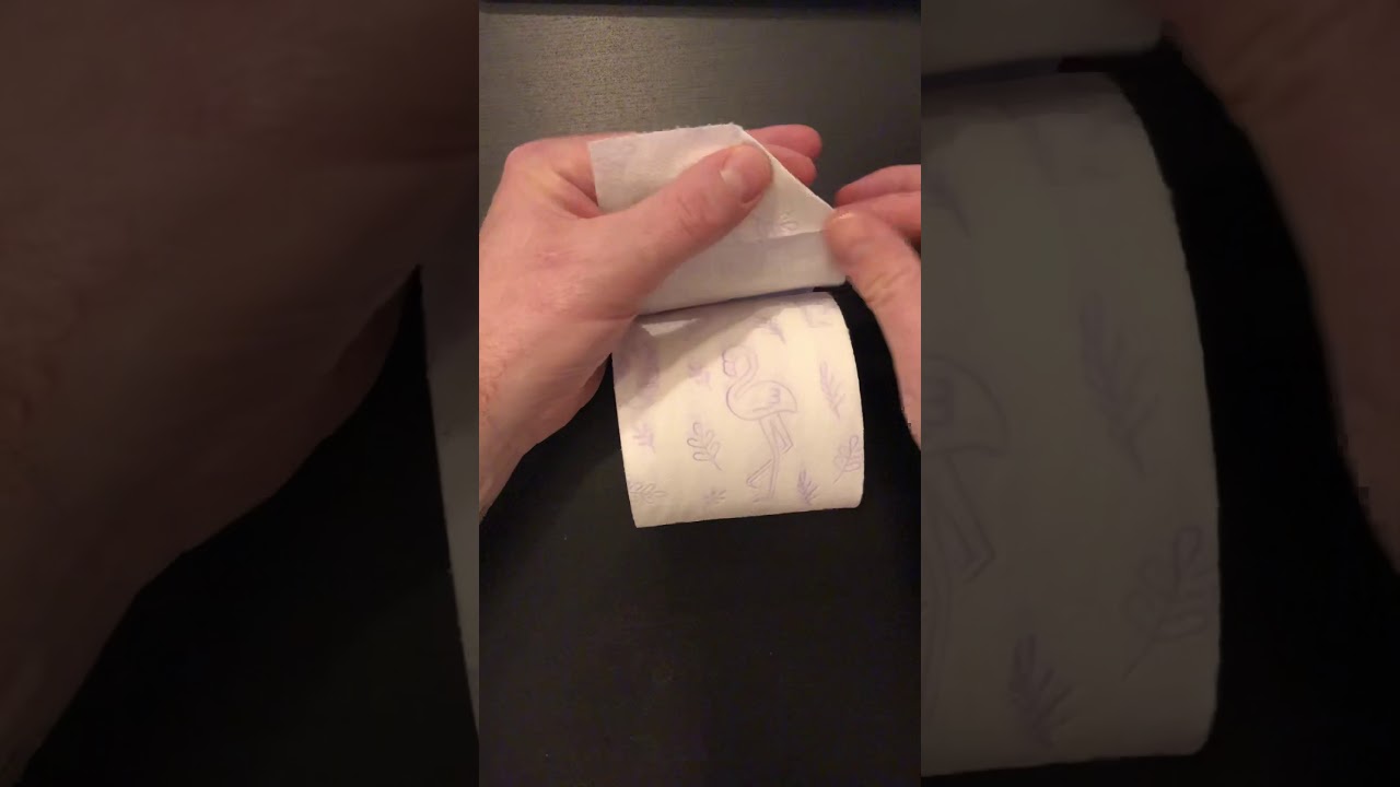 hôtel formule 1 avec toilette dans la chambre