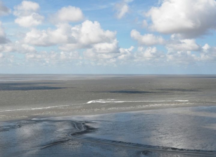 ebbe und flut borkum