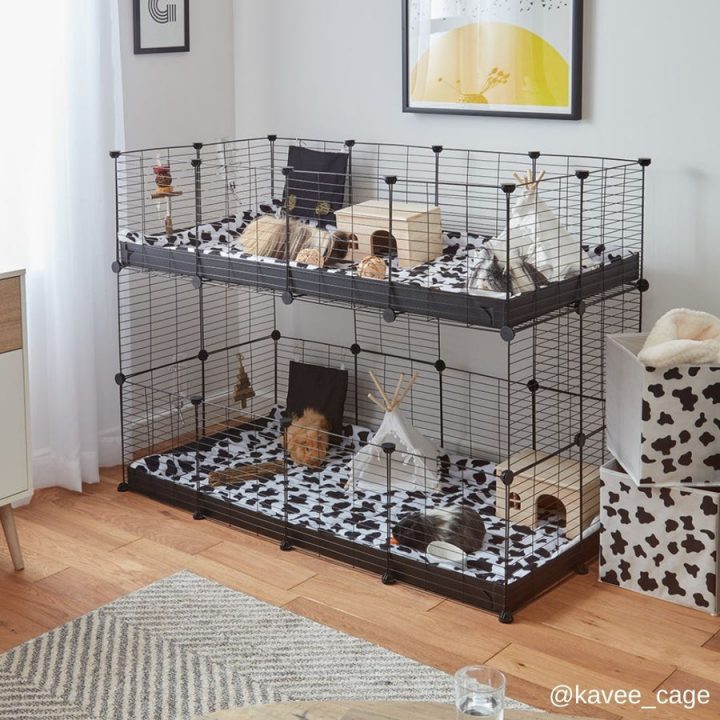 meuble cage cochon d’inde meuble cage cochon d’inde