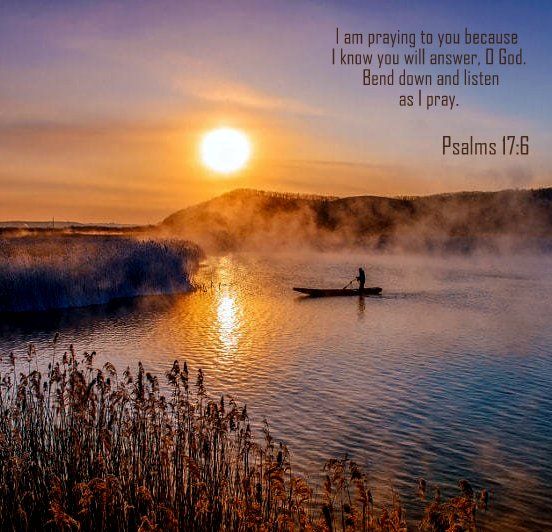 psalm 17 hoffnung für alle