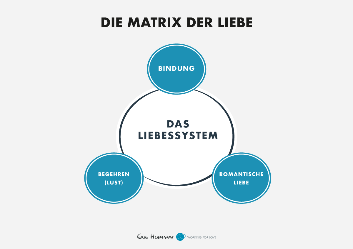 die vier stufen der liebe