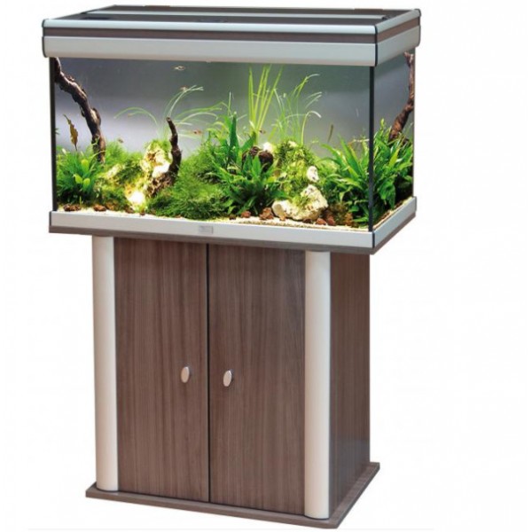 aquarium 60 litres avec meuble