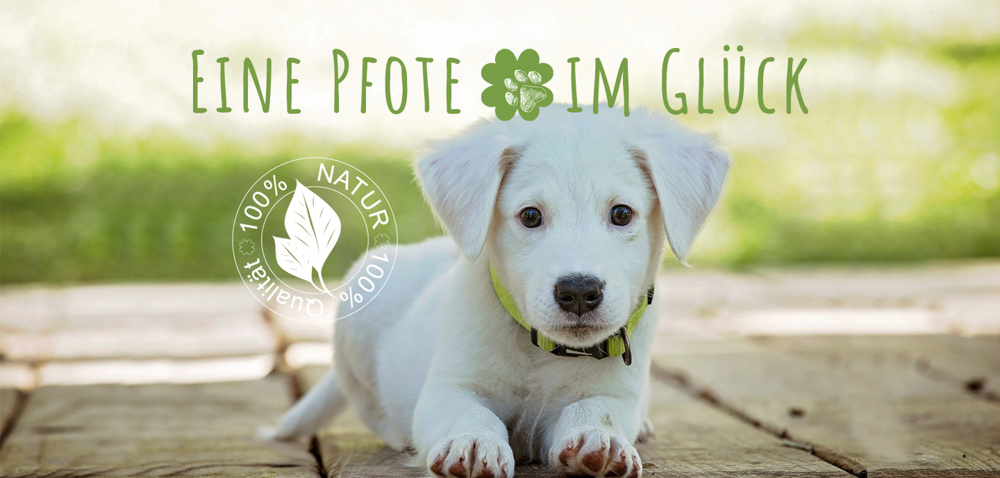 glück für alle pfoten e.v