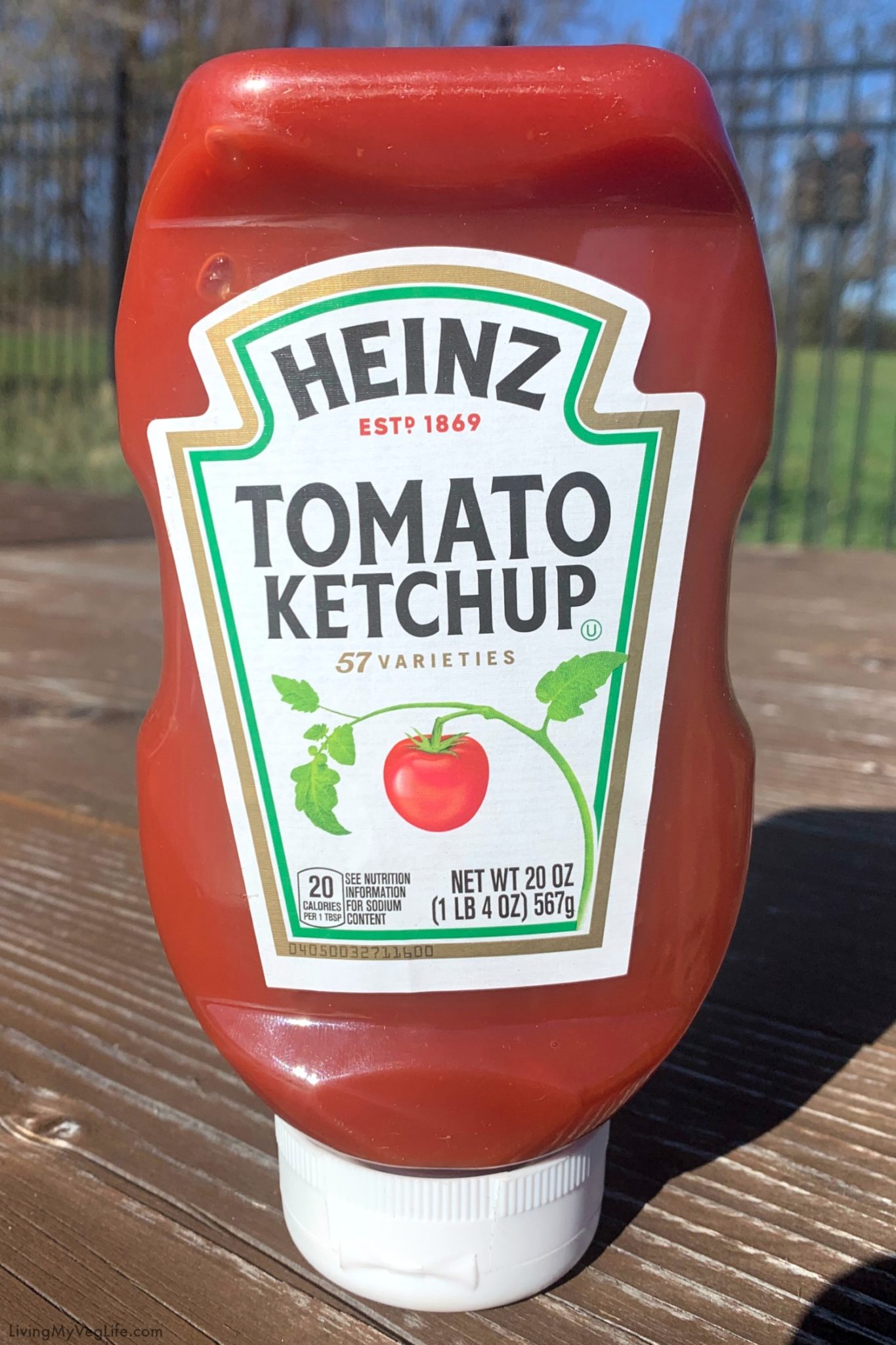 ist in ketchup laktose