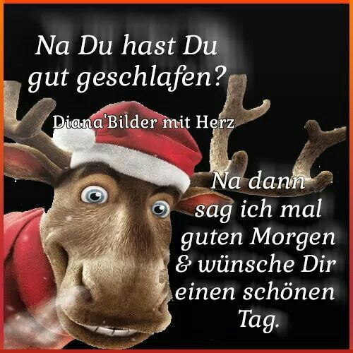 4 advent guten morgen