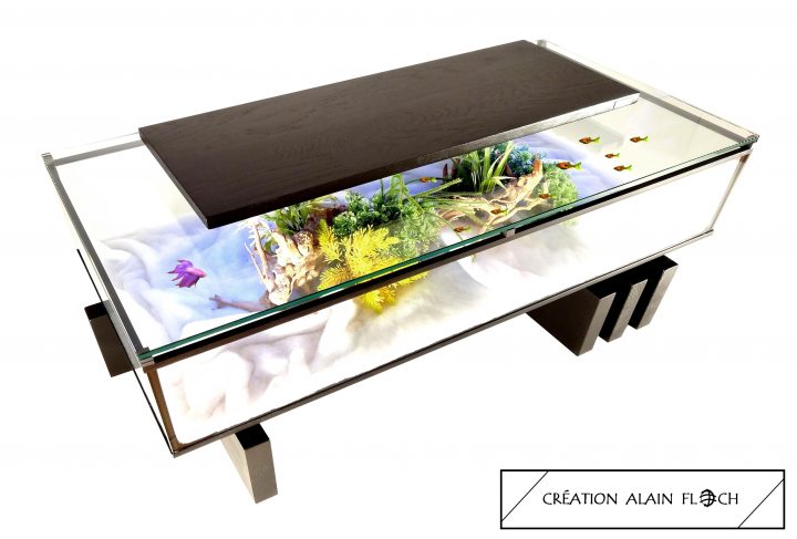 meuble avec aquarium intégré