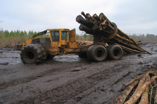 holzfäller extrem bobby goodson deutsch