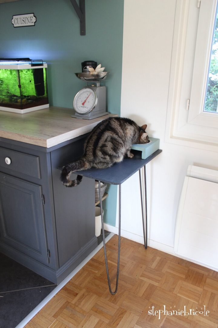 meuble pour gamelle chat en hauteur