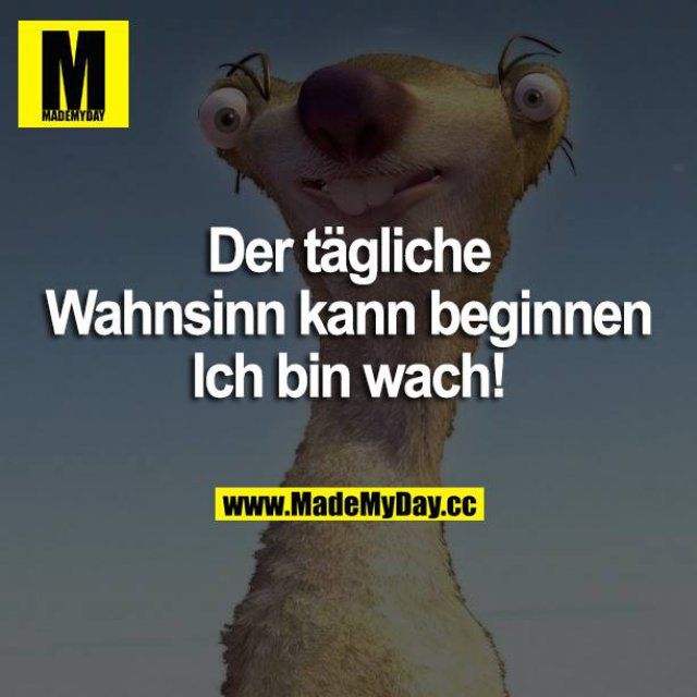 bin wach bilder lustig