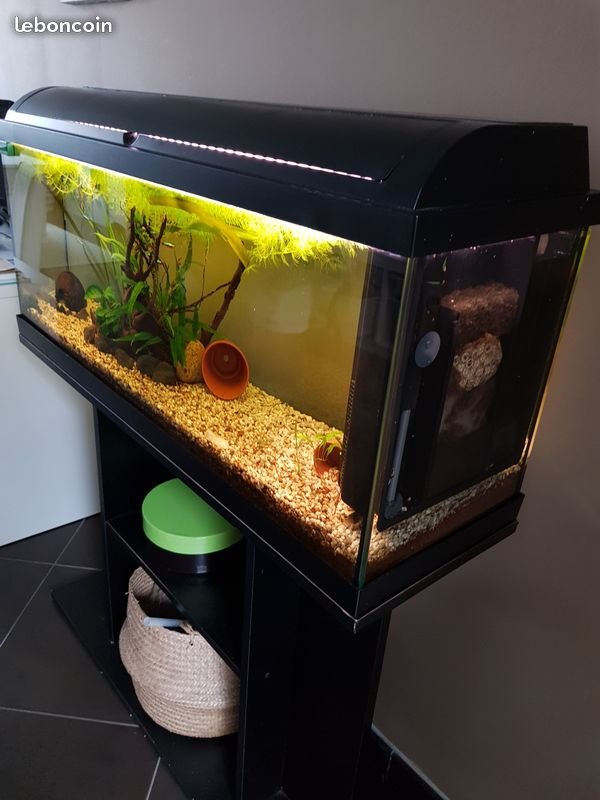 aquarium 100l avec meuble aquarium 100l avec meuble