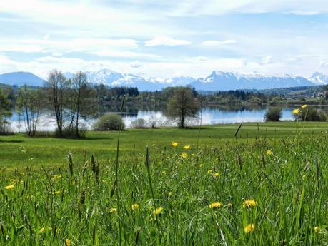 wer ein leben rettet rettet die ganze welt talmud