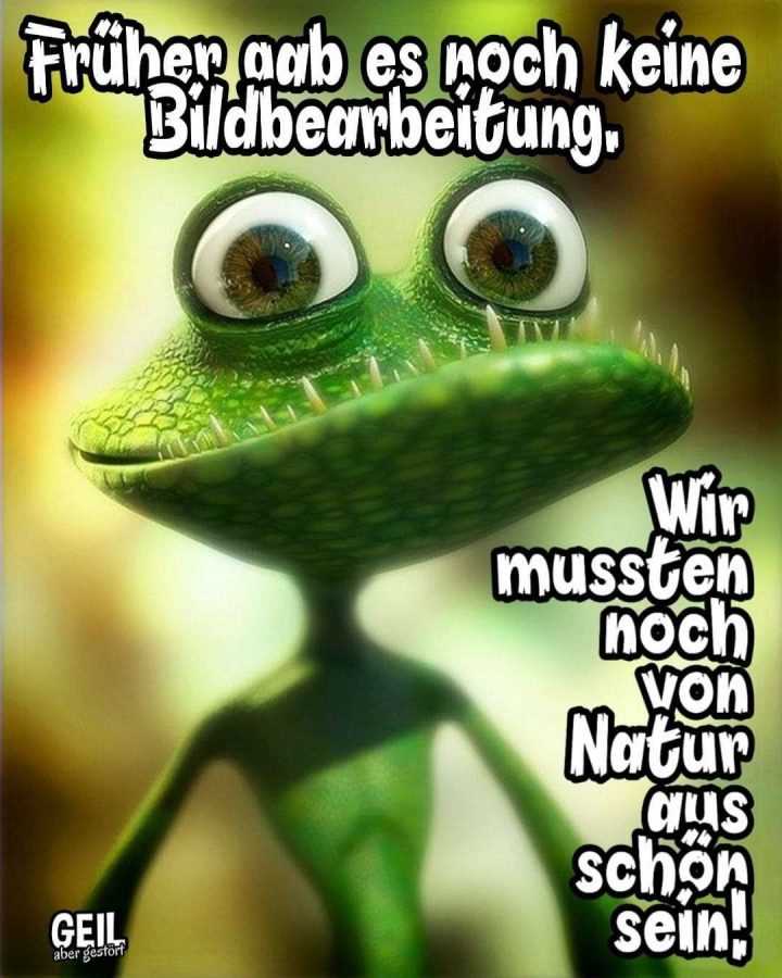 geil aber gestört sprüche