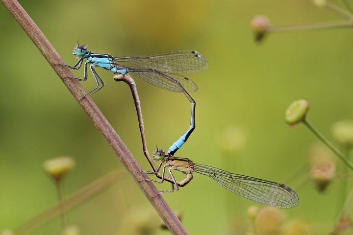 zweiter versuch nach korb zweiter versuch nach korb