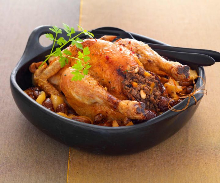 gans mit gummistiefel gans mit gummistiefel