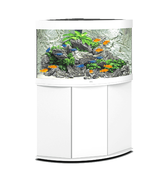 aquarium blanc avec meuble