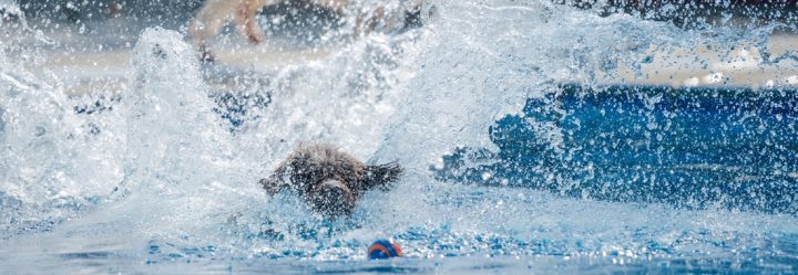 fuego del norte fuego del norte