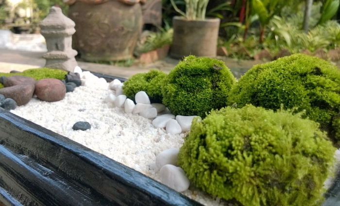 1001+ Conseils Pratiques Pour Une Déco De Jardin Zen destiné Cailloux Décoration Jardin