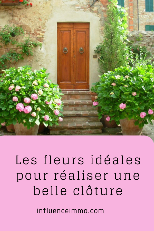 12 Plantes Grimpantes Pour Cloturer Votre Jardin | Arbre concernant Cloturer Son Jardin 12 Plantes Grimpantes Pour Cloturer Votre Jardin | Arbre concernant Cloturer Son Jardin