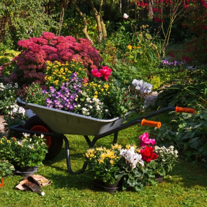 14 Idées De Brouettes Ornementales | Amenagement Jardin tout Brouette Deco Jardin