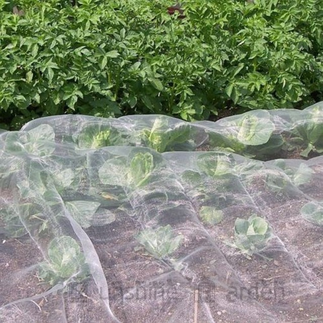 2 M * 2 M 40 Mesh Insectes Filet Jardin Légumes Protection destiné Filet De Protection Jardin