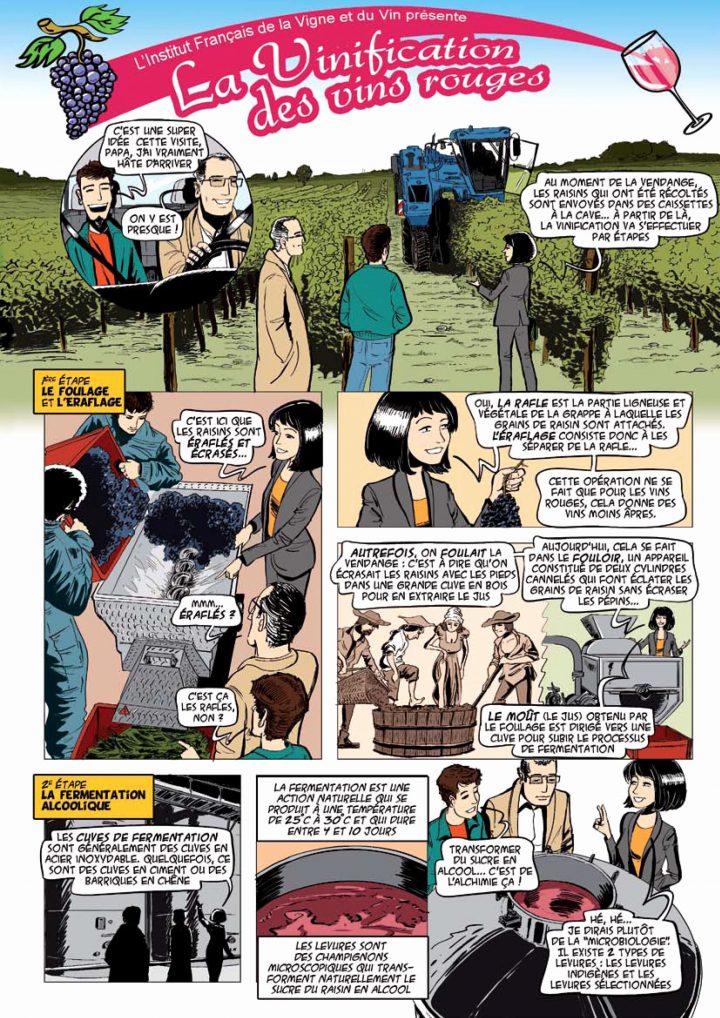 200 Chambrer Un Vin Check More At Https://leonstafford dedans Chambrer Le Vin