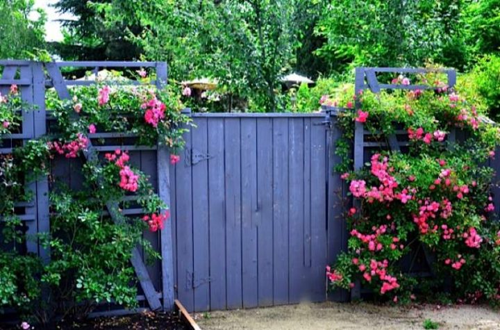 25 Idées De Petite Barrière De Jardin Pour Vous Sentir tout Petite Barriere Jardin 25 Idées De Petite Barrière De Jardin Pour Vous Sentir tout Petite Barriere Jardin