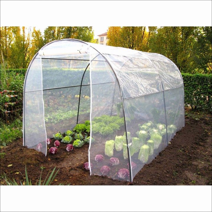 30 Exceptionnel Serre Tunnel Occasion Le Bon Coin Galerie encequiconcerne Serre De Jardin Occasion Particulier