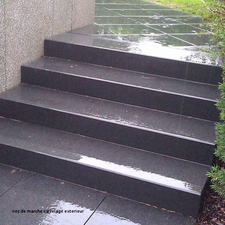 35 Unique Photographie De Carrelage Escalier Exterieur Nez dedans Carrelage Exterieur Escalier