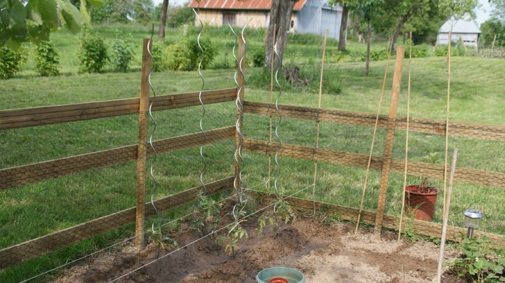 3E Année Du Potager : Agrandissement Et Clôture – La intérieur Cloturer Son Jardin 3E Année Du Potager : Agrandissement Et Clôture – La intérieur Cloturer Son Jardin