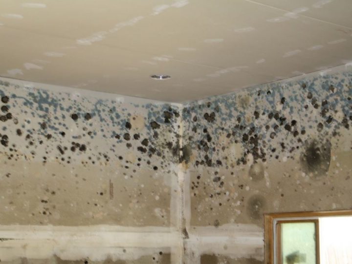 4 Astuces De Grands-Mères Pour Enlever Toute La Moisissure ! tout Moisissure Plafond Salle De Bain