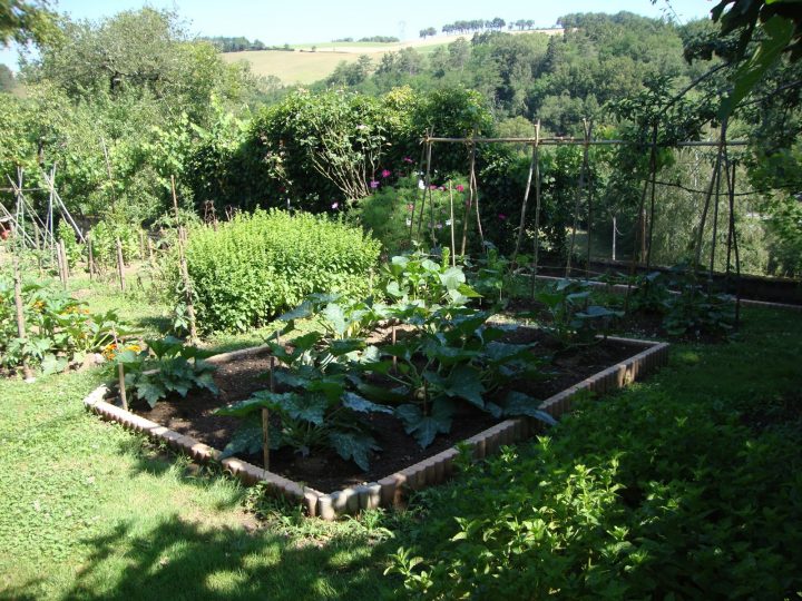 4 Techniques Pour Rendre Votre Potager (Presque) Autonome tout Organisation Potager