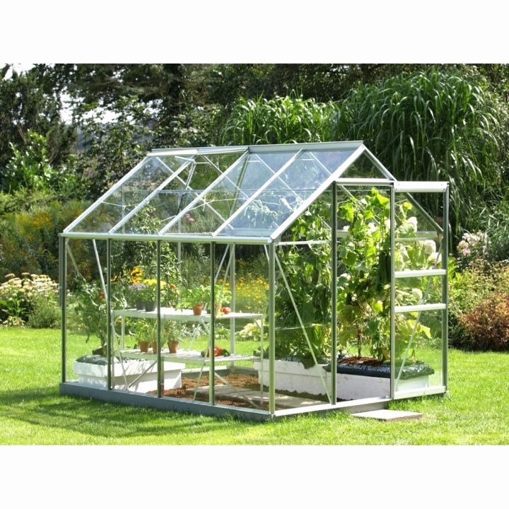 50 Source D'Inspiration Serre De Jardin En Verre Solde pour Serre De Jardin Pas Chere 50 Source D'Inspiration Serre De Jardin En Verre Solde pour Serre De Jardin Pas Chere