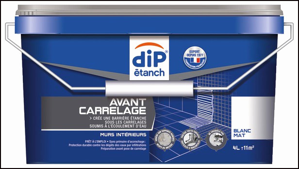 51 Moderne Etancheite Sous Carrelage Brico Depot avec Carrelage Brico Depot