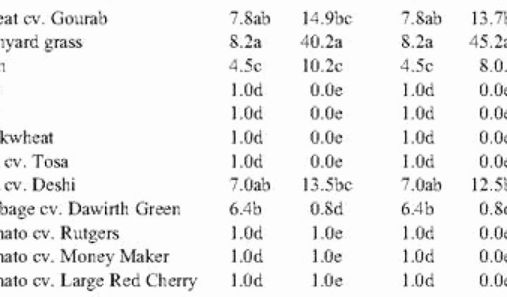 57 Beau Salon De Jardin En Soldes Leclerc | Matériel dedans Soldes Salon De Jardin Leclerc 57 Beau Salon De Jardin En Soldes Leclerc | Matériel dedans Soldes Salon De Jardin Leclerc