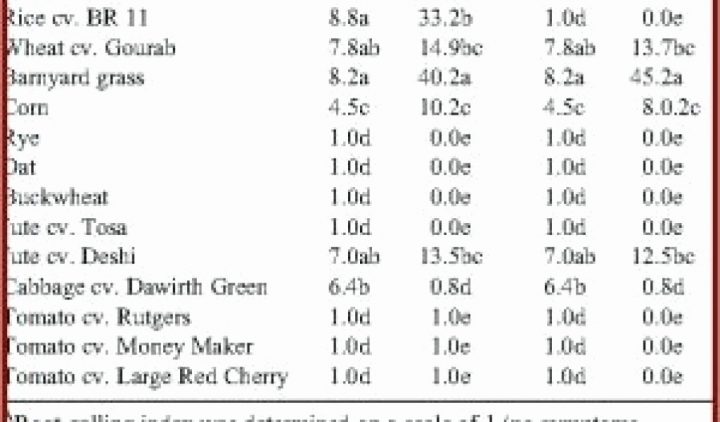 57 Unique Idee Deco Jardin Pas Cher – Casque De Chantier dedans Salon De Jardin Super U 149 57 Unique Idee Deco Jardin Pas Cher – Casque De Chantier dedans Salon De Jardin Super U 149