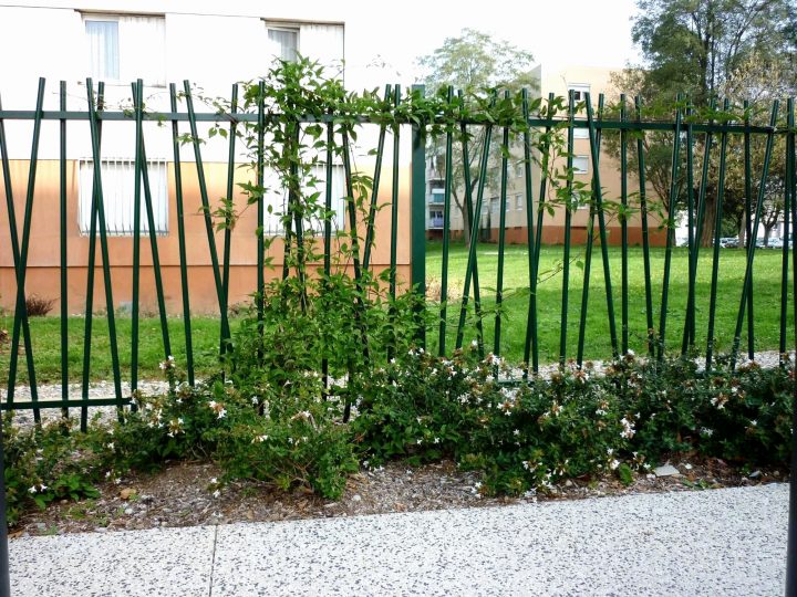 69 Beau Serre De Jardin Occasion Le Bon Coin | Matériel concernant Serre De Jardin Occasion Le Bon Coin