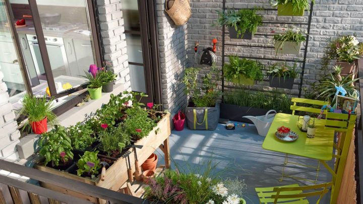 7 Étapes Pour Un Potager Au Top ! | Je Jardine Monpotdefleurs avec Petit Cabanon De Jardin 7 Étapes Pour Un Potager Au Top ! | Je Jardine Monpotdefleurs avec Petit Cabanon De Jardin