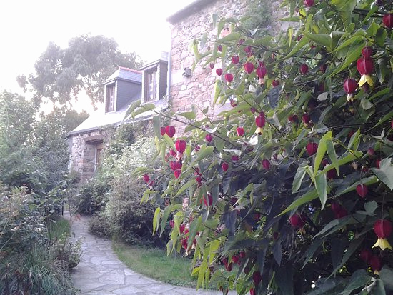 70 Le Meilleur De Chambre D Hote Ile De Brehat | Matériel destiné Chambre D Hote Ile Rousse
