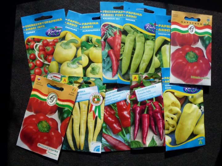 paprika hähnchen ungarisch paprika hähnchen ungarisch