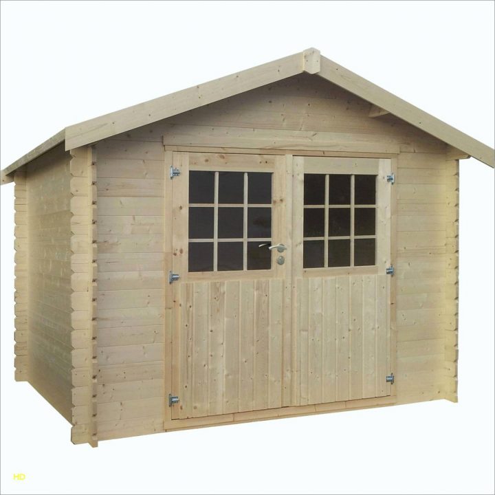 Abri De Jardin Bois Brico Depot Charmant 95 Abri Jardin tout Abri De Jardin Brico Depot