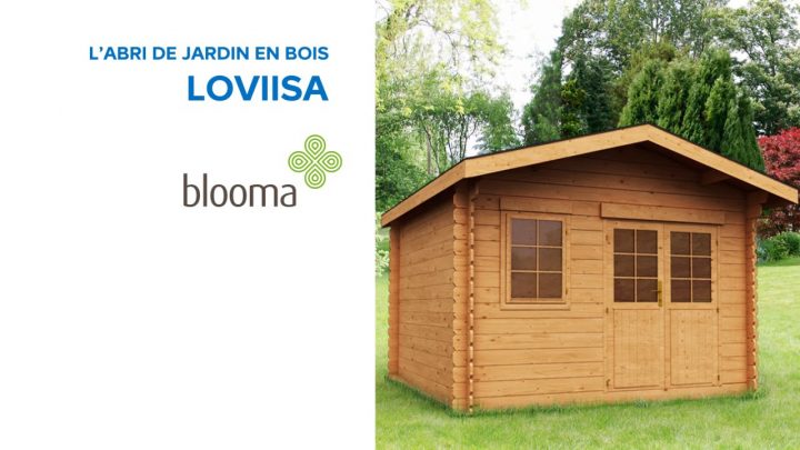 Abri De Jardin Bois Castorama à Cabane De Jardin Castorama Abri De Jardin Bois Castorama à Cabane De Jardin Castorama