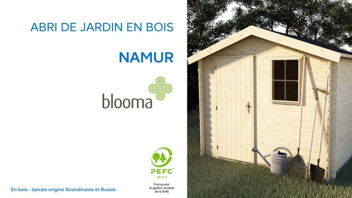 Abri De Jardin En Bois Namur Blooma (630680) Castorama destiné Abri De Jardin Yardmaster 12M2