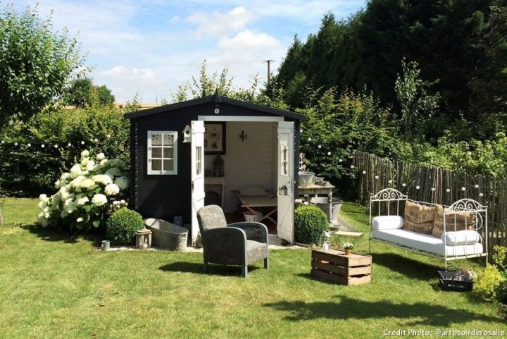 Abri De Jardin En Bois Pas Cher : Comment L'Embellir à Abris De Jardin Original