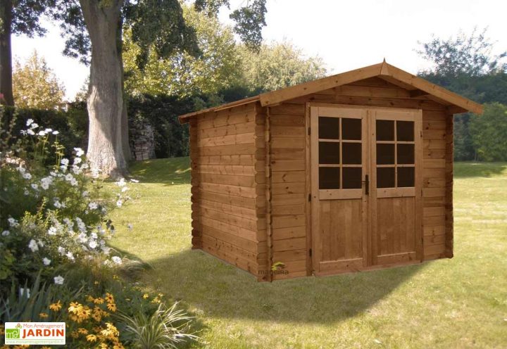 Abri De Jardin En Bois Traité Autoclave Pas Cher – Maison intérieur Abri De Jardin Thonon