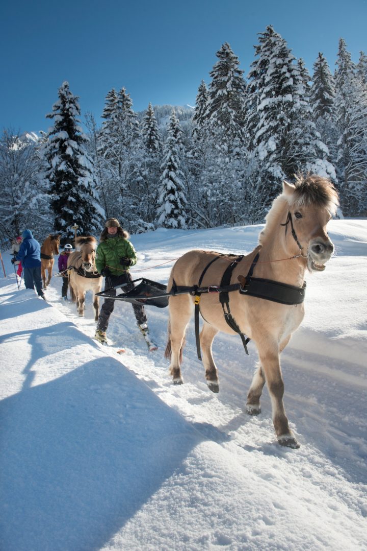 Activités Hiver | La Clusazassociation Des Meublés La Clusaz concernant Association Des Meublés La Clusaz Activités Hiver | La Clusazassociation Des Meublés La Clusaz concernant Association Des Meublés La Clusaz