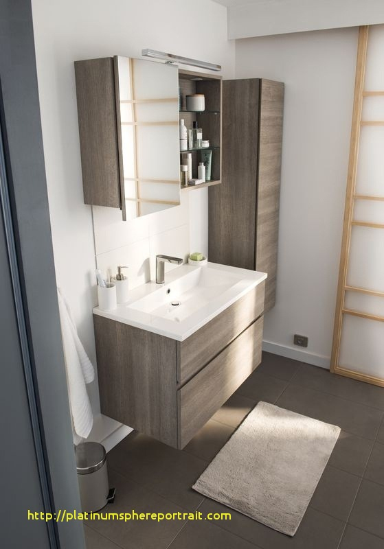 Agencer Une Salle De Bains Castorama Bain 20 – Cosmeticuprise concernant Salle De Bain Castorama Agencer Une Salle De Bains Castorama Bain 20 – Cosmeticuprise concernant Salle De Bain Castorama