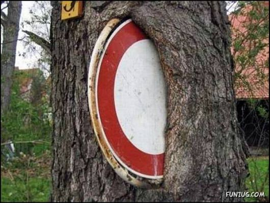 Amazing Wonders: Amazing Strength Of Nature | Amazing Wonders dedans Statue Moaï 1M Amazing Wonders: Amazing Strength Of Nature | Amazing Wonders dedans Statue Moaï 1M